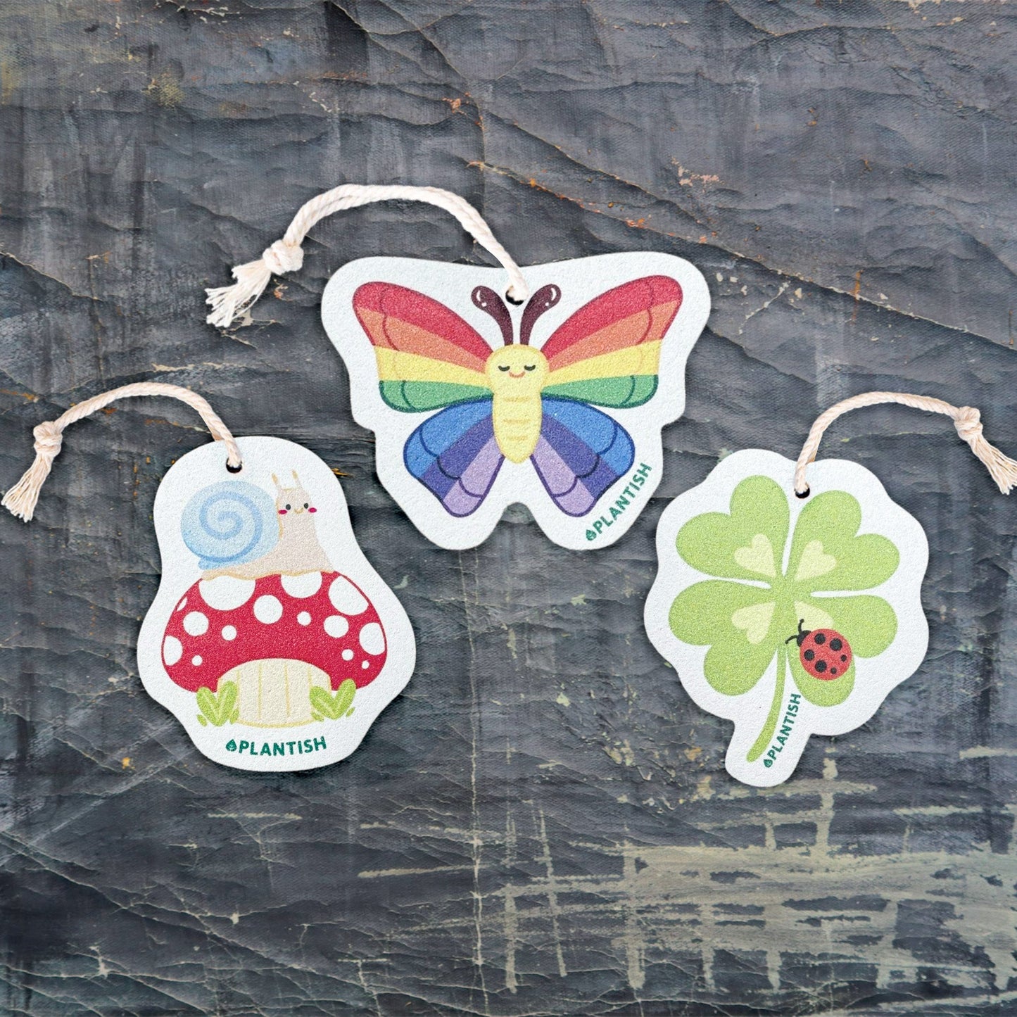 Mossy Snail - Pop Up Sponge-1